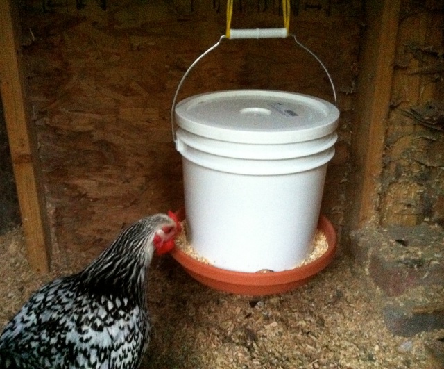 Pin Homemade Poultry Feeders And Waterers Incubator Egg ...